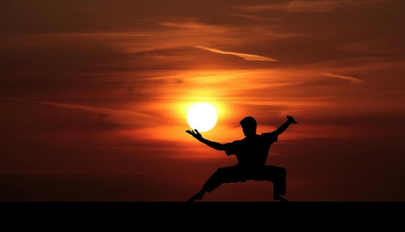 Tai Chi Workshops